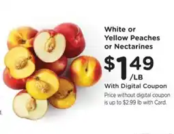 Fry's White or Yellow Peaches or Nectarines offer