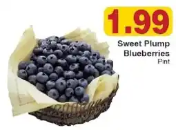 Piggly Wiggly Sweet Plum Blueberries offer