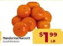 Cardenas Mandarina Murcott offer