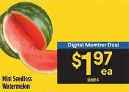 Bashas' Mini Seedless Watermelon offer