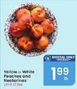 Albertsons Yellow or White Peaches and Nectarines offer
