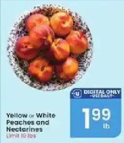 Albertsons Yellow or White Peaches and Nectarines offer