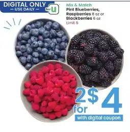 Albertsons Mix & Match Pint Blueberries, Raspberries or Blackberries offer
