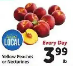 Safeway Yellow Peaches or Nectarines offer