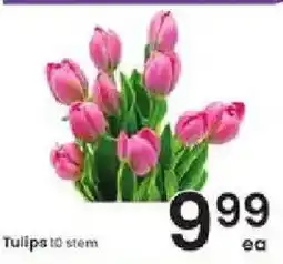 Albertsons Tulips 10 stem offer