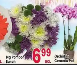 Jewel-Osco Big Pompon Bunch offer