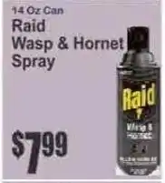 Key Food Raid Wasp & Hornet Spray offer