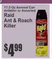 Key Food Raid Ant & Roach Killer offer