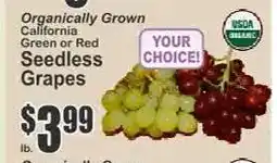 Key Food Organically Grown Seedless Grapes offer