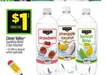 Dollar General Clover Valley Sparkling Water offer
