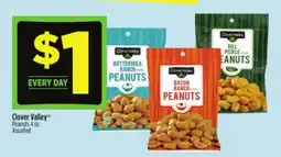 Dollar General Clover Valley Peanuts offer