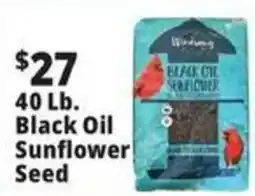 Ocean State Job Lot Windsor black oil sunflower seed offer