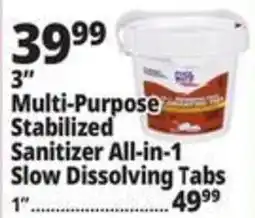 3" Multi-Purpose Stabilized Sanitizer All-in-1 Slow Dissolving Tabs