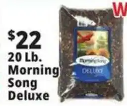 Ocean State Job Lot Morning Song Deluxe offer