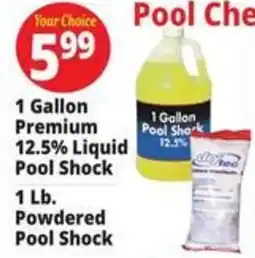 Ocean State Job Lot Your Choice Pool Shock offer