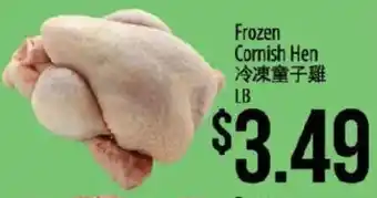 Frozen Cornish Hen