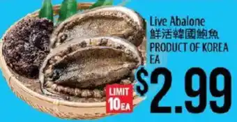 Hmart Live Abalone offer