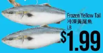 Hmart Frozen Yellow Tail offer