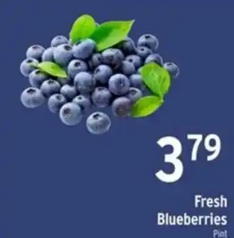 Fresh Blueberries