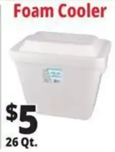 Ocean State Job Lot Foam Cooler offer
