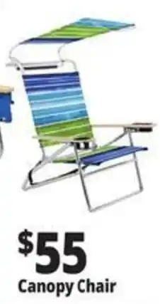 Ocean State Job Lot Canopy Chair offer