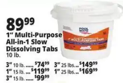 Ocean State Job Lot Carp 1" Multi-Purpose All-in-1 Slow Dissolving Tabs offer