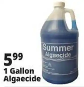 Ocean State Job Lot Summer Algaecide offer