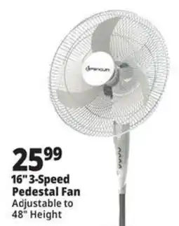 Ocean State Job Lot Simpson 16" 3-Speed Pedestal Fan offer
