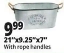 Ocean State Job Lot Flower Garden bucket offer