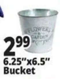 Ocean State Job Lot Flowers & Carbon Bucket offer