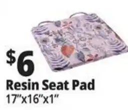 Ocean State Job Lot Resin Seat Pad offer