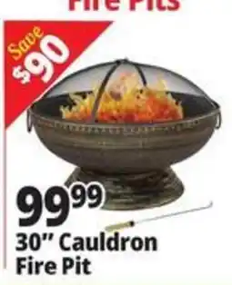Ocean State Job Lot 30" Cauldron Fire Pit offer