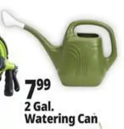 Ocean State Job Lot 2 Gal. Watering Can offer