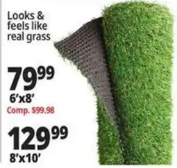 Ocean State Job Lot Real grass offer