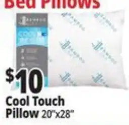 Ocean State Job Lot Cool Touch Pillow offer