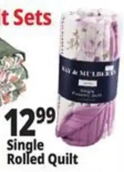 Ocean State Job Lot Bay & Mulberry Single Rolled Quilt offer