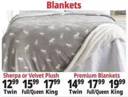 Ocean State Job Lot Sherpa or Velvet Plush Blankets offer