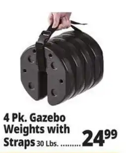 Ocean State Job Lot Gazebo Weights with Straps offer