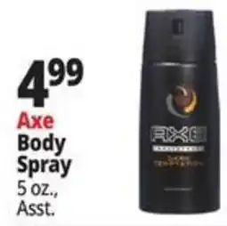 Ocean State Job Lot Axe body spray offer