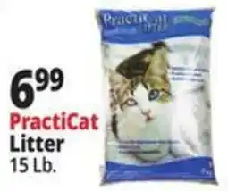 Ocean State Job Lot PractiCat Litter offer