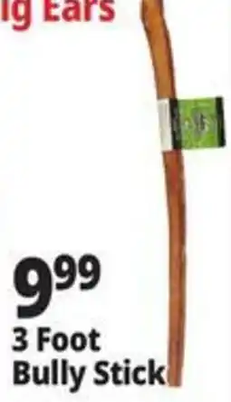 Ocean State Job Lot Big Ears Bully Stick offer