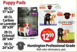 Ocean State Job Lot Huntington Professional Grade Puppy Pads offer