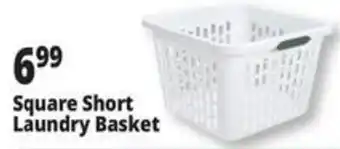 Ocean State Job Lot Square Short Laundry Basket offer
