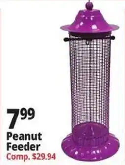 Ocean State Job Lot Peanut Feeder offer