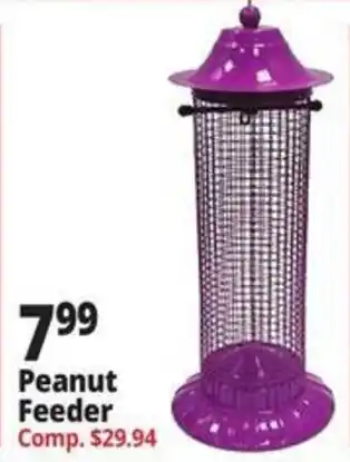 Ocean State Job Lot Peanut Feeder offer