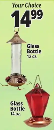 Ocean State Job Lot Your Choice Glass Bottle offer