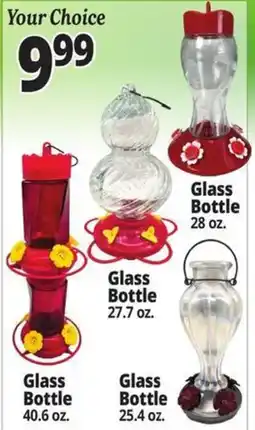Ocean State Job Lot Your Choice Glass Bottle offer