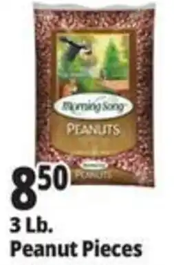 Ocean State Job Lot Morning Song peanuts offer