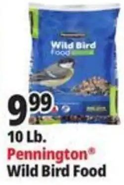 Ocean State Job Lot Pennington Wild Bird Food offer