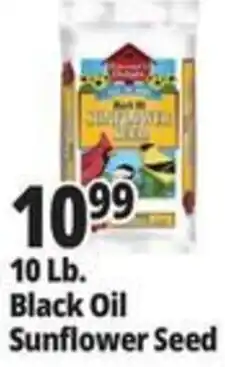 Ocean State Job Lot Black Oil Sunflower Seed offer